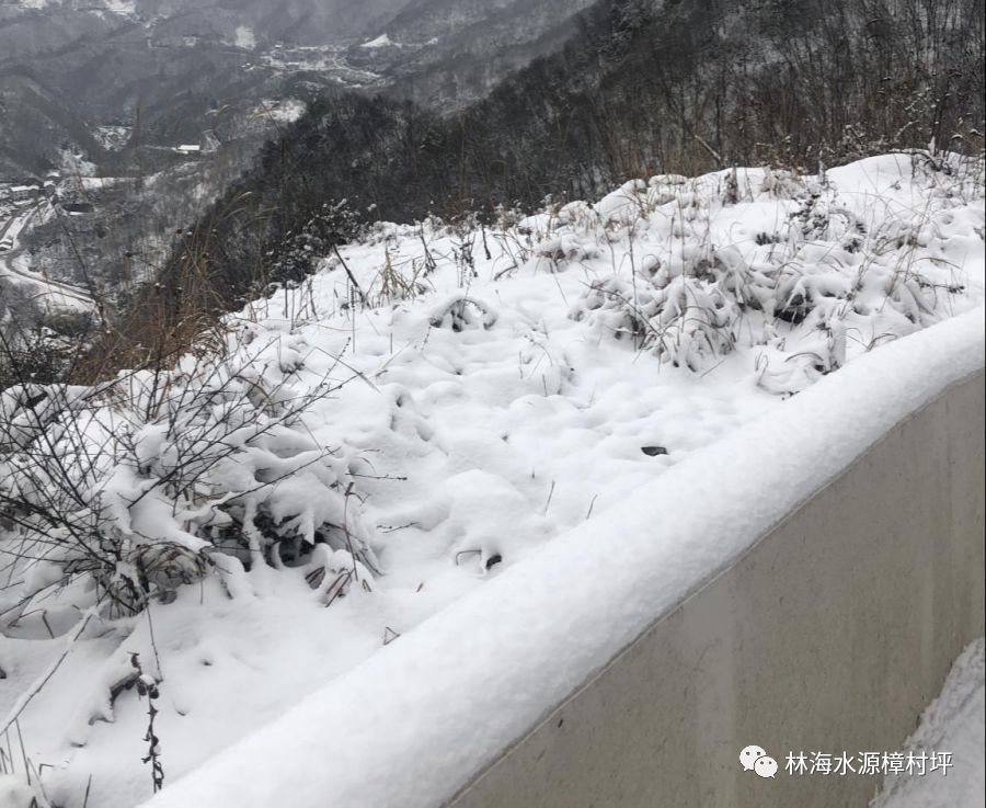 羊山村人口_马山县羊山村航拍