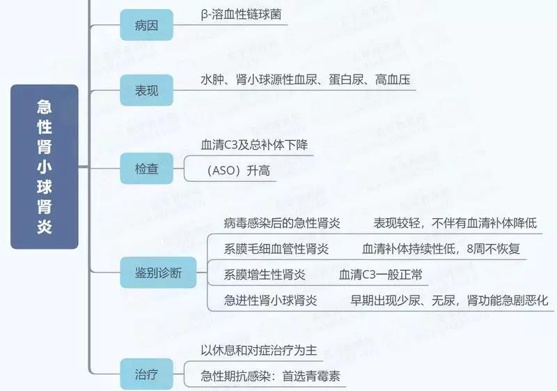 值得收藏!临床执业医师10大知识思维导图