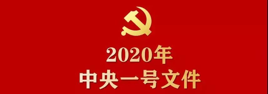 干货满满!2020年中央一号文件来了(内附全文)