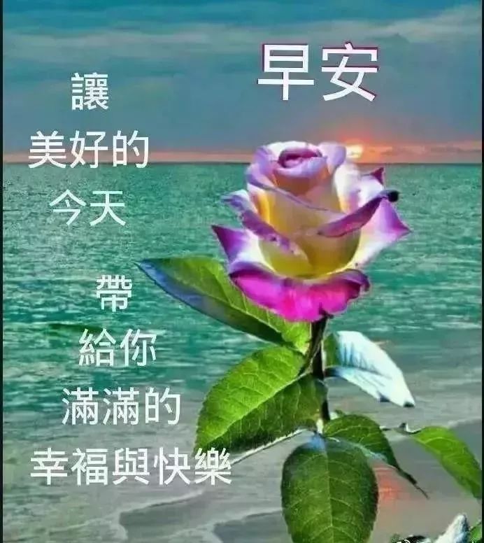 特别漂亮的早上好鲜花带字祝福语录图片 温馨的早安动