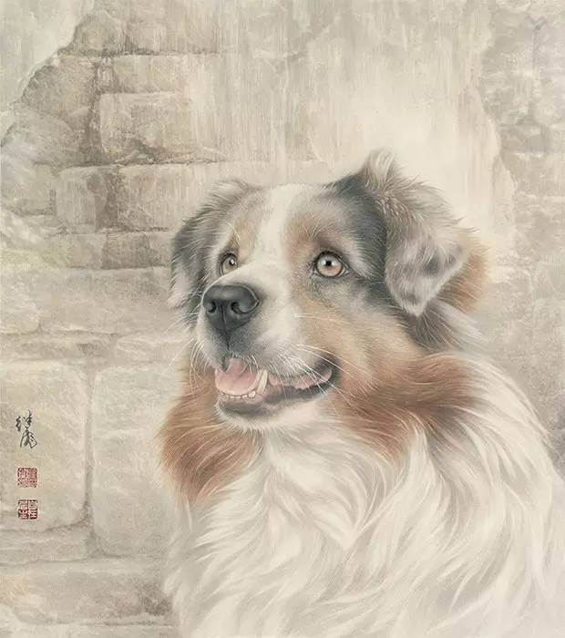 工笔画狗的画法超详细步骤