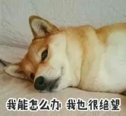 277bd5cd3117458898b88d5cc4756c88.jpeg