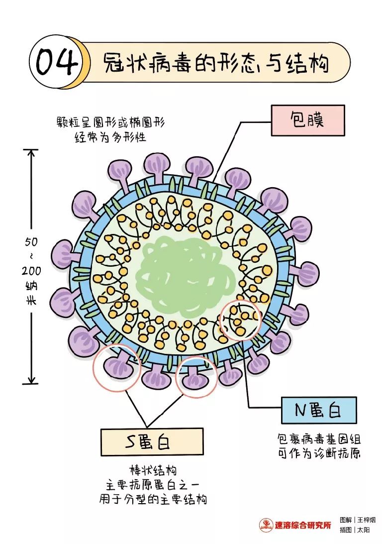 暴雨大风致大量树木倒伏，圆明园遗址公园5月31日临时闭园