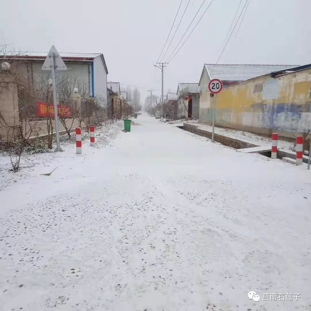 雪中战"疫 石莲子镇镇村干部坚守疫情防控第一线