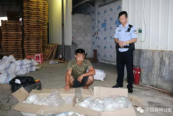 潜在“中间宿主”背后的非法贸易