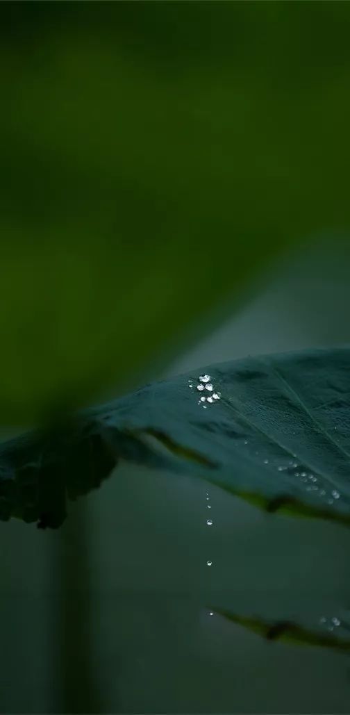 一声按音至清至洁,涤荡客尘一声泛音澹若清泉,雪其躁气一声散音达成