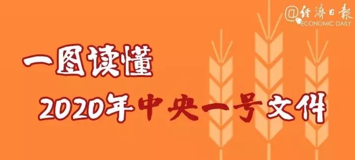 2020年中央一号文件公布,说了什么?一图详解