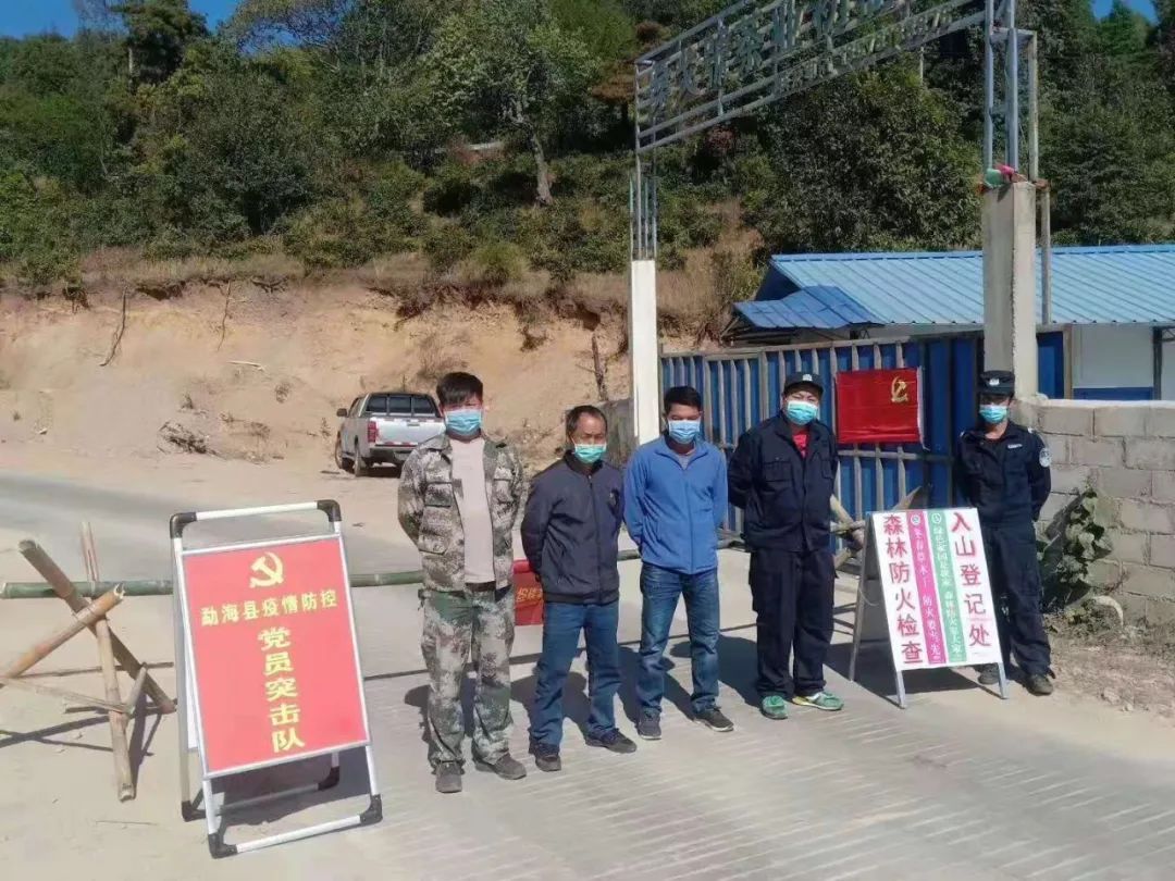 勐海目前人口_勐海茶区茶山图片