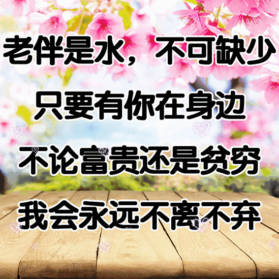 86abe82c05b5419e961e85ca0df968b5.gif