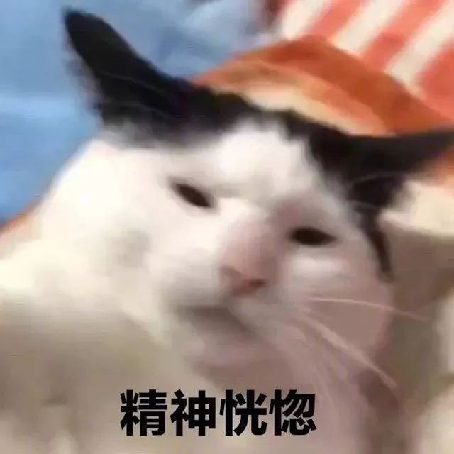 来自单身狗的沉思_表情