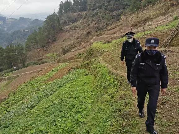 黔江多少人口_黔江鸡杂图片
