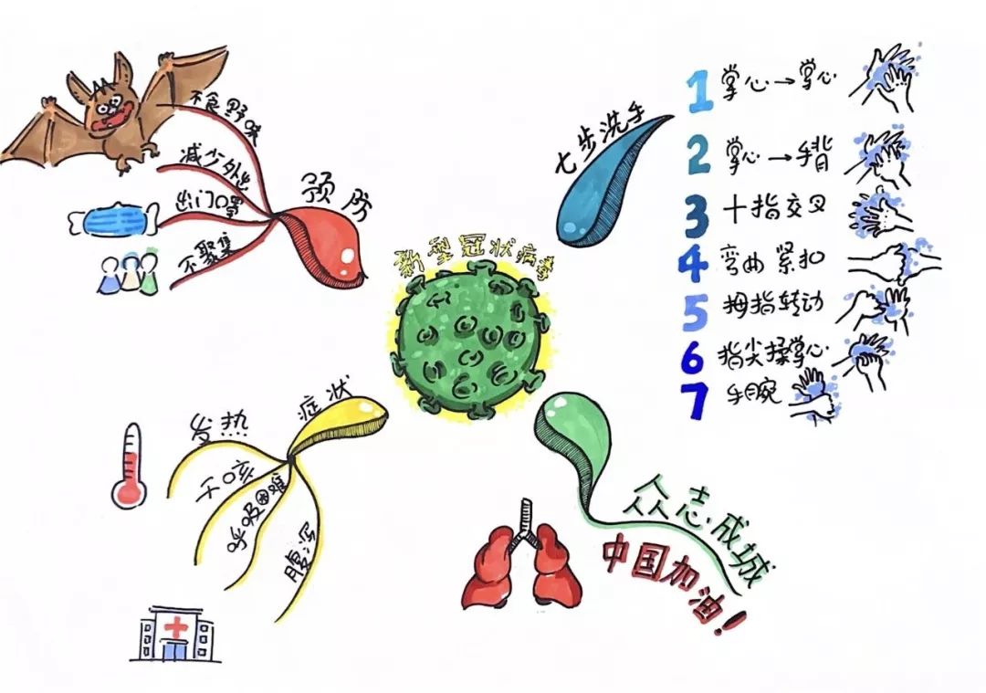 "我会戴口罩" 逸夫小学思维导图绘制比赛 逸夫小学小学开展了思维导