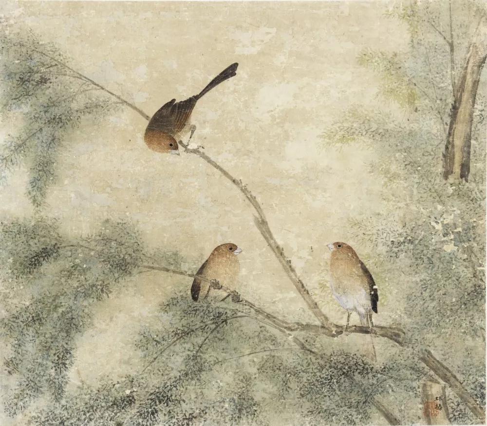 宋朝|为什么宋朝审美，能领先世界一千年？