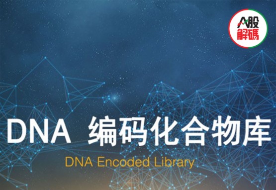 4个交易日市场蒸发1.32万亿，会遮盖掉先导药物头