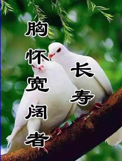 9f5ea61d89124d50a7e7a4953510ac93.jpeg