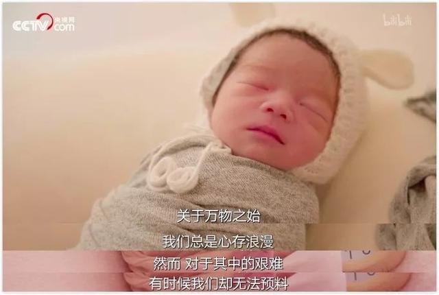 文章配图-12