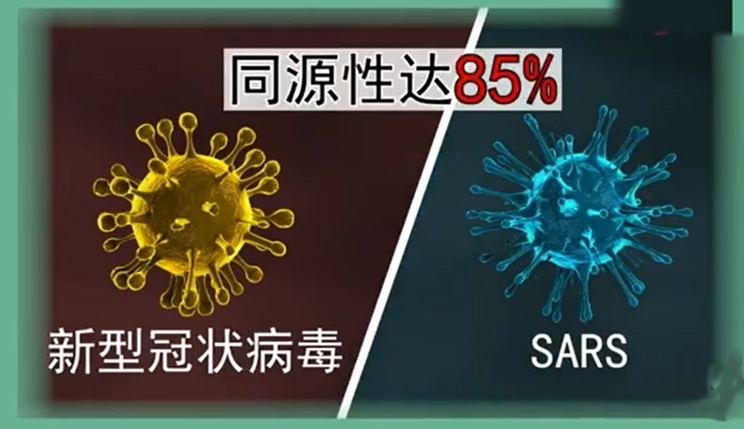 这也就表示,sars的相关研究数据是非常值得参考的.