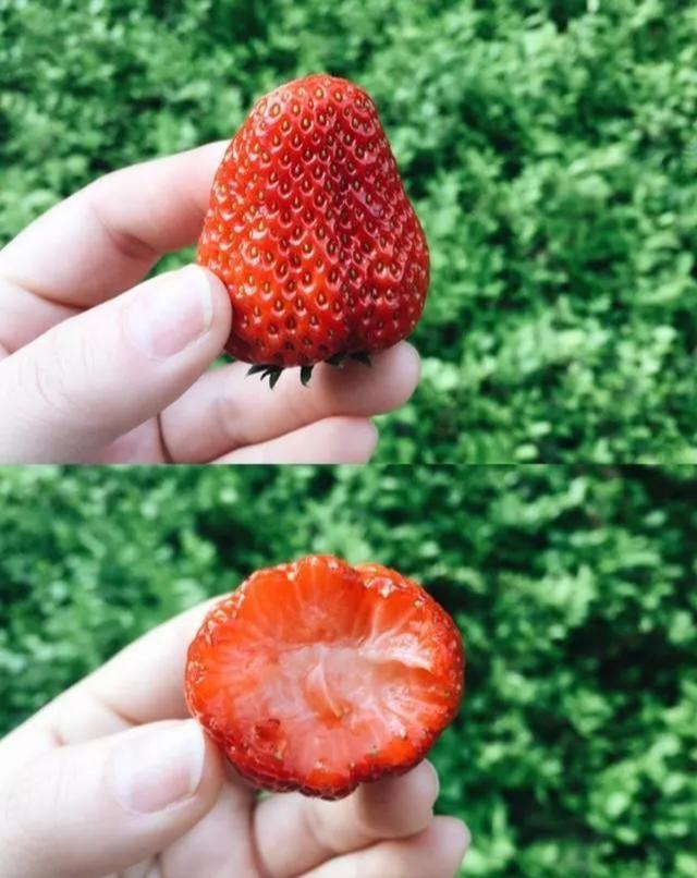 dd289d60071249dd8596dac97959f1bf.jpeg