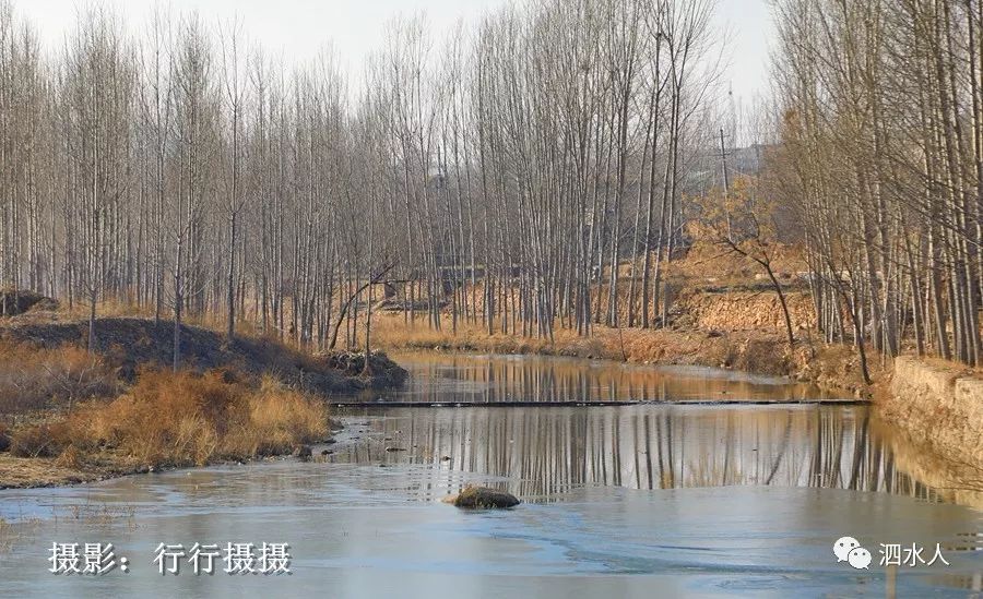 走进泗水大厂村:拍到了这样的情景._泗张镇