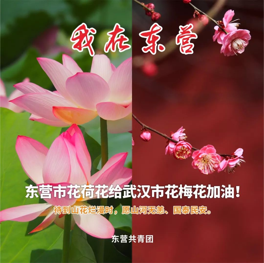 我在东营为武汉加油等春来疫情毕一起来看黄河入海一起去看樱花盛开