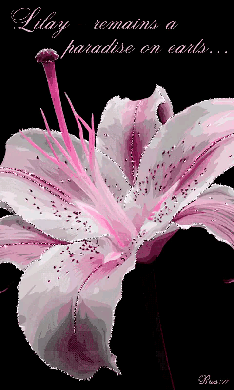 480_800 竖版 竖屏 