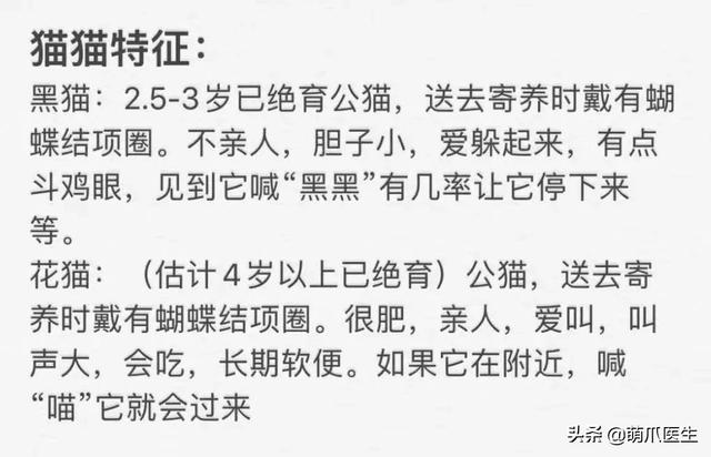 你为什么说谎简谱_说谎简谱