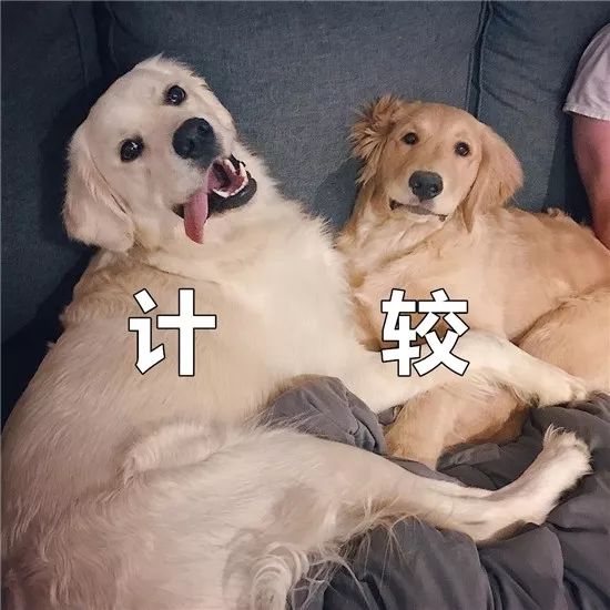 老实巴交