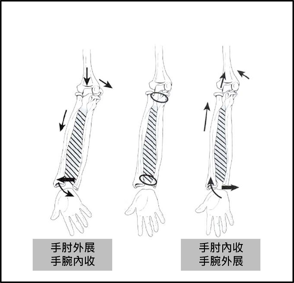 弯曲时会像是少了颗螺丝般的不顺 图一,肘关节动作示意