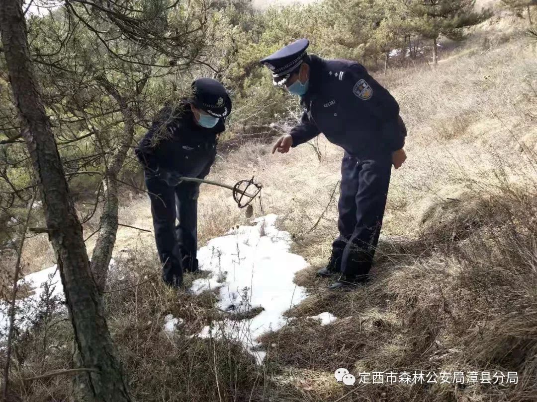 拆除捕猎的铁丝及夹子等