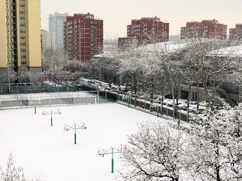 大学校园唯美雪景,哪里的景色让你心动?