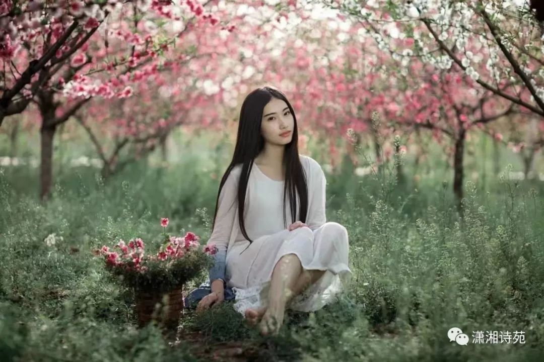 清什么无比成语_成语故事简笔画