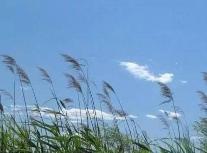 我祈祷人都平安健康!