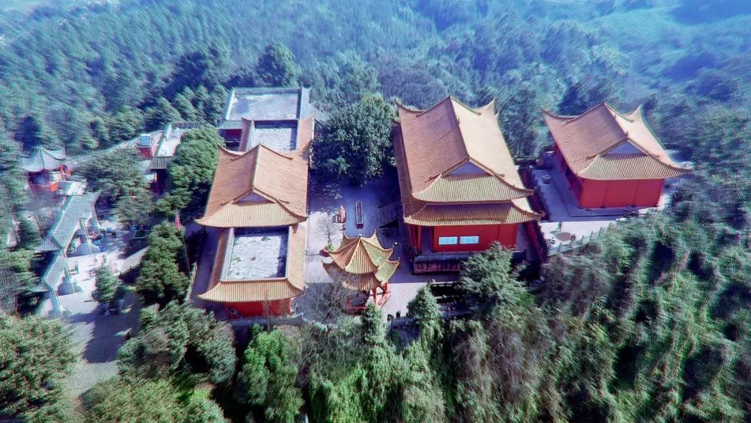 花木繁多 坐标 长宁佛来山 从3月到9月,姹紫嫣红,硕果累累!
