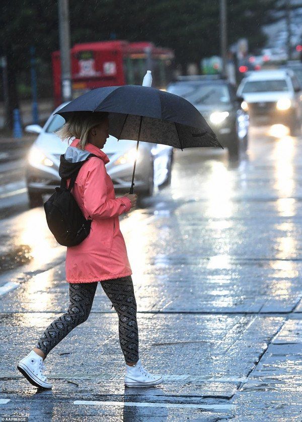 今天早上悉尼coogee的行人在大雨中打伞步行(图片来源:《每日邮报》)