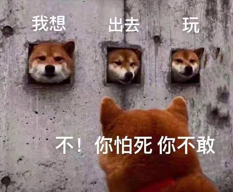 "如果一觉醒来疫情消失了",网友评论瞬间泪目.