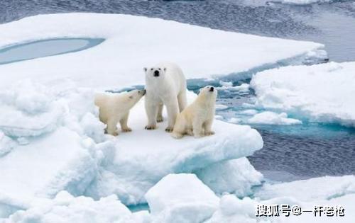 二氧化碳水平上升除了导致全球变暖之外，还会使人类认知能力下降