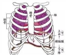 6e3a414a03d44d13bee7ca96853ac40f.jpeg