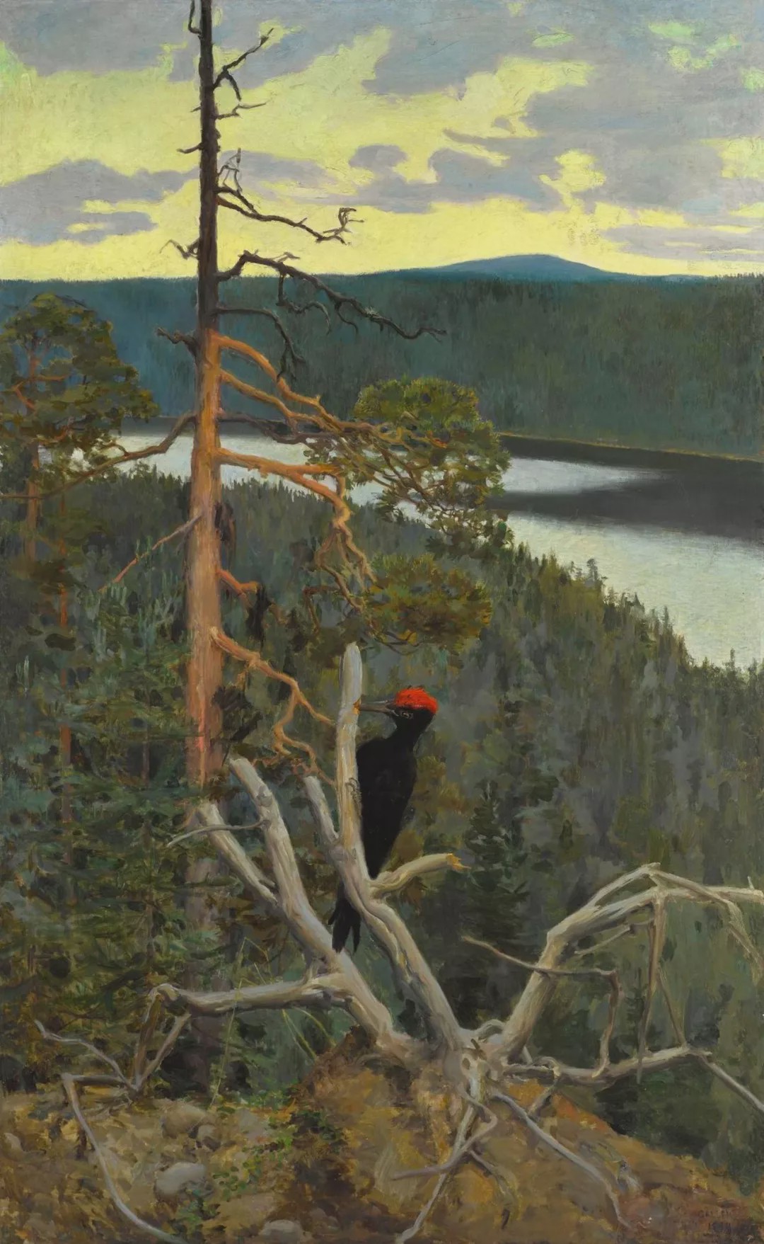 芬兰大画家,芬兰国旗设计者加仑.卡雷拉的油画欣赏