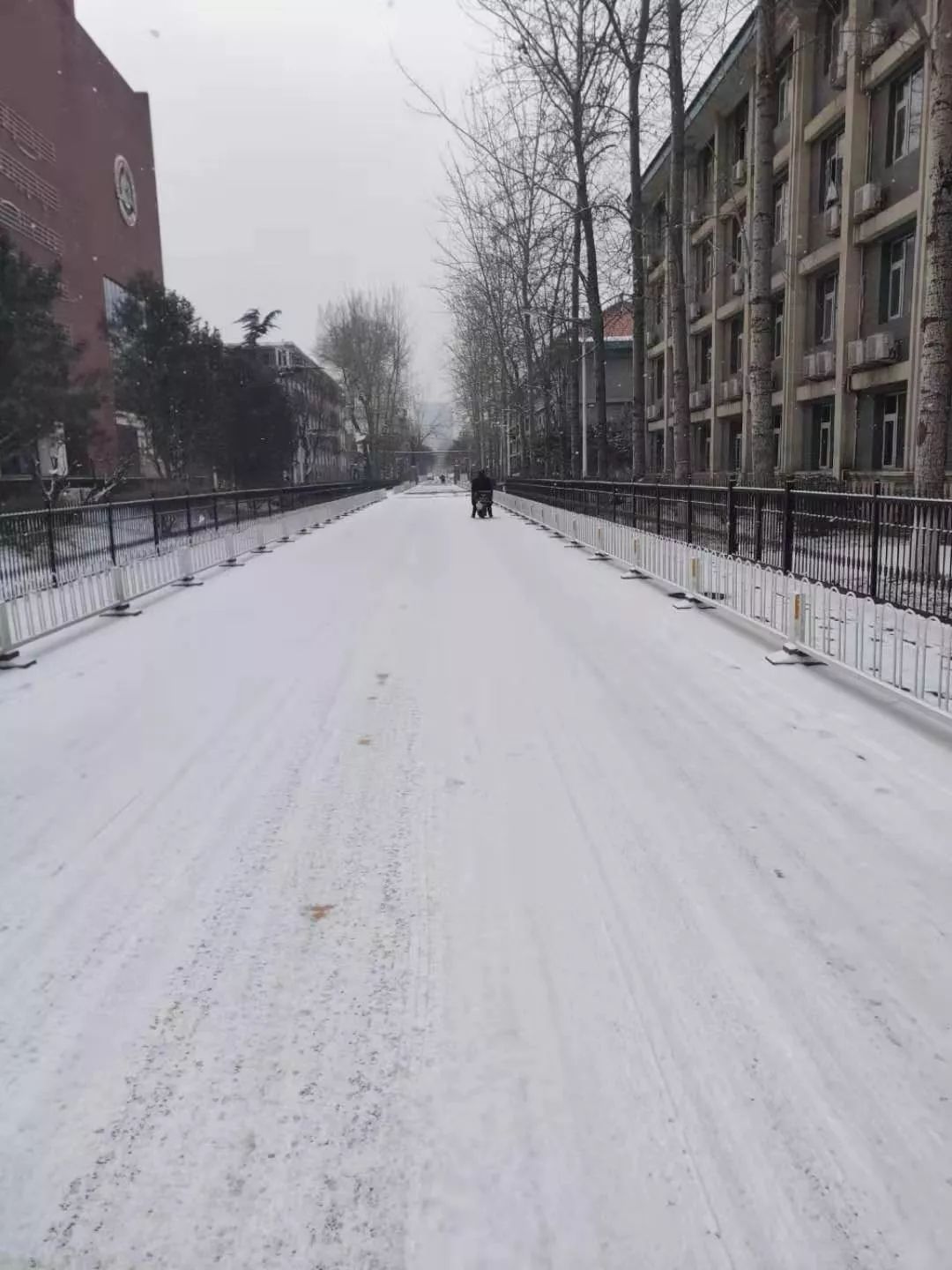 近日北京的大雪/袁硕摄