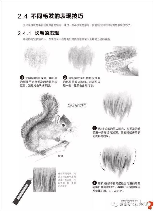 插画教程 | 铅笔素描从入门到精通的一些详细讲解以及