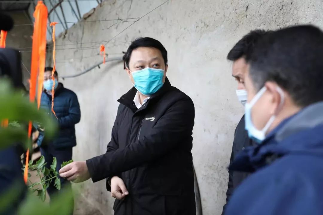 邓集人口_人口普查(3)