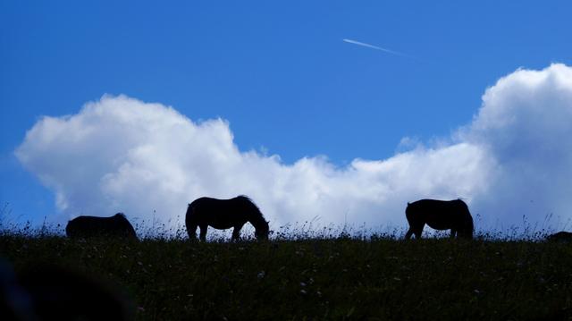 我祈祷人都平安健康!