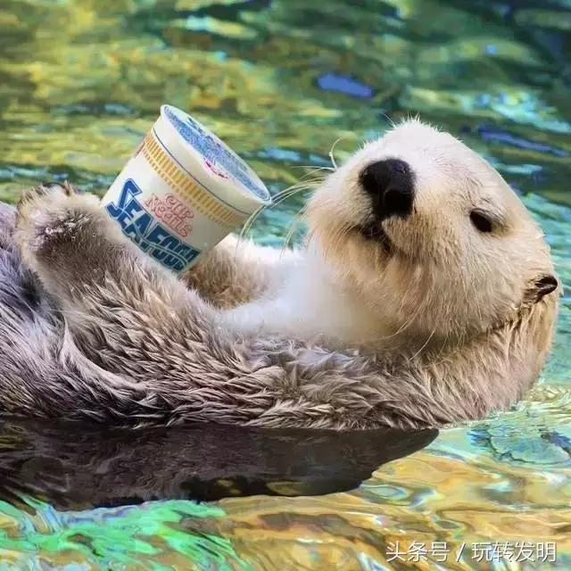 吃了这么多年泡面,你知道泡面是谁发明的吗?