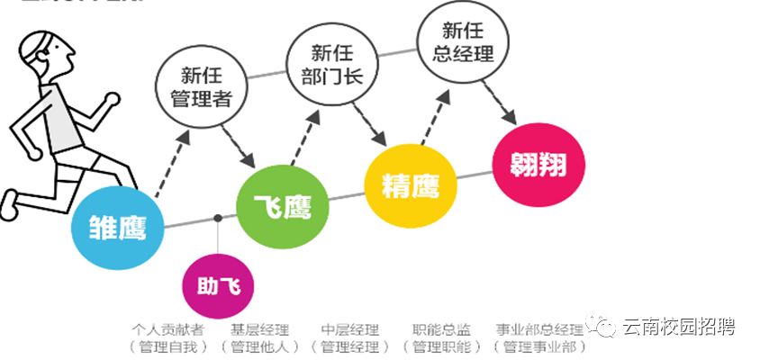 面试招聘流程_安徽银行招聘网 银行校园招聘面试流程(2)