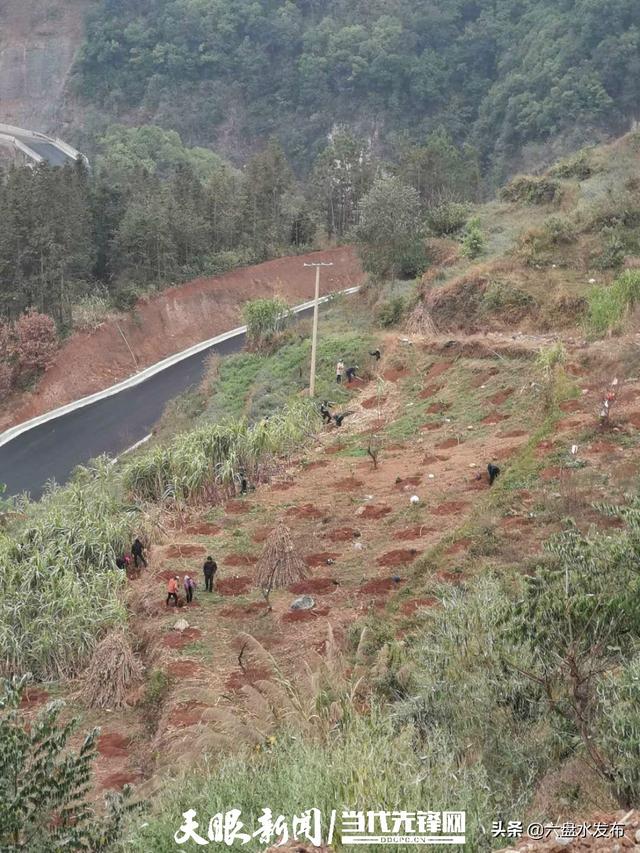 水城县营盘乡多少人口_水城县营盘乡悠然山居