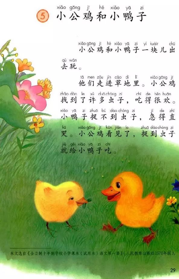 3daff82852dc494ead83ff411c1f6634.jpeg
