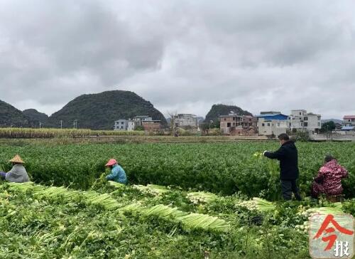 "柳北一村民在街道"防疫办"放下十万块钱就走_林雄毅