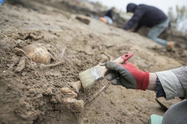 如何测定古生物年代?考古利器:碳-14测年