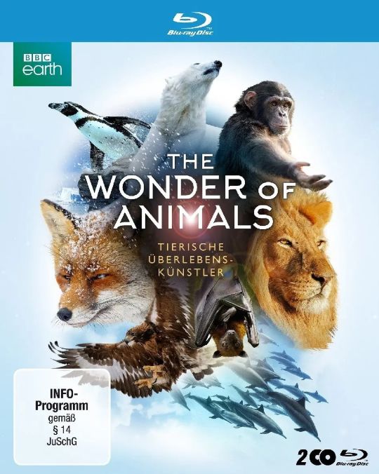 bbc的这部纪录片,就为我们揭开了关于蝙蝠的诸多奥秘《神奇动物大