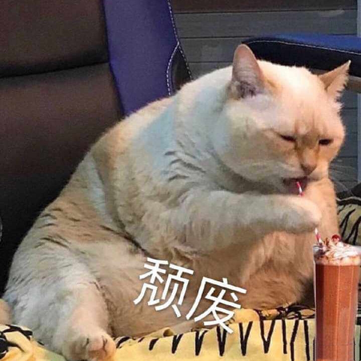 啥时候才能换头像啊 7cc7d63804414558b288f598a9ef0252.jpeg